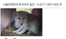 메이플스토리 인벤 : 동물보호협회가 개쓰레기졸렬협회인 이유.jpg - 메이플스토리 인벤 자유게시판 (구) 동물보호협회가 개쓰레기졸렬협회인... 