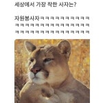 메이플스토리 인벤 : 꿀잼, 유머 주의) 세상에서 가장 착한 사자는?ㅋㅋㅋㅋㅋㅋㅋㅋㅋㅋㅋㅋㅋㅋㅋㅋ - 메이플스토리 인벤 자유게시판 (구) 꿀잼... 