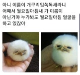 웹진 인벤 : 월요일아침새 - 오픈이슈갤러리 월요일아침새