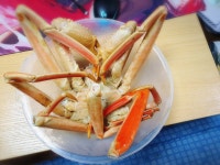 메이플스토리 인벤 : 77ㅓ억~~~ - 메이플스토리 인벤 자유게시판