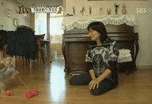 메이플스토리 인벤 : 야동 배포한 사람이 환생하는 만화.manhwa - 메이플스토리 인벤 자유게시판 (구) 야동 배포한 사람이 환생하는 만화.manhwa