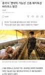 메이플스토리 인벤 : 중국에서 또 사건 하나 만들어낼라고 하는데? - 메이플스토리 인벤 자유게시판