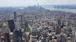 메이플스토리 인벤 : 농장 쁘띠몹 뽑는 순서 알려주실분 - 메이플스토리 인벤 자유게시판