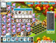 메이플스토리 인벤 : 농장홍보<동천농장임>타이머 시그너스 오르카 핑크빈 커플예티 아우프 베릴등. - 메이플스토리 인벤 길드/친구/농장... 