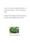 메이플스토리 인벤 : 단풍실록 - 마이펫 편 - 메이플스토리 인벤 도전기자단 게시판