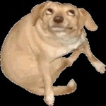 검은사막 인벤 : 금수랑 사냥어때요? - 검은사막 인벤 금수랑 직업게시판 금수랑 사냥어때요?