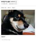 메이플스토리 인벤 : 우리집 닥스훈트 ㅁㅌㅊ? - 메이플스토리 인벤 자유게시판 (구) 우리집 닥스훈트 ㅁㅌㅊ?