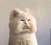 메이플스토리 인벤 : ??? : 승기야..지금 멫시고.. - 메이플스토리 인벤 자유게시판 (구) ??? : 승기야..지금 멫시고..
