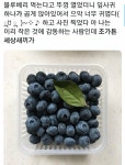 메이플스토리 인벤 : 블루베리 - 메이플스토리 인벤 자유게시판