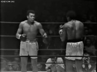 웹진 인벤 : 회피 만렙 무하마드 알리 - 오픈이슈갤러리 회피 만렙 무하마드 알리