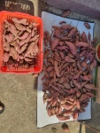 메이플스토리 인벤 : 농린이 고구마캤다 - 메이플스토리 인벤 자유게시판