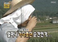 메이플스토리 인벤 : 막걸리 먹고싶은짤 - 메이플스토리 인벤 자유게시판 (구) 막걸리 먹고싶은짤