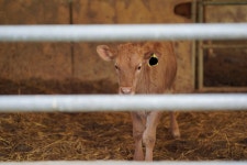 메이플스토리 인벤 : 단풍사진이랑 목장사진 - 메이플스토리 인벤 자유게시판