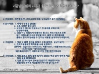 <길냥이쉼터>클랜에서 신규 클랜원 모집합니다.^-^ - 디아블로3 인벤 길드/클랜 홍보 - 디아블로3 인벤 <길냥이쉼터... 