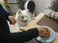 메이플스토리 인벤 : 오늘 생일이었음 - 메이플스토리 인벤 자유게시판