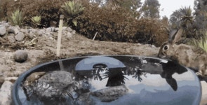 웹진 인벤 : 숲속 옹달샘 설치 후 cctv..gif - 오픈이슈갤러리 숲속 옹달샘 설치 후 cctv..gif