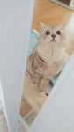 로스트아크 인벤 : 오늘 힐링 달달했다 (기만x) - 로스트아크 인벤 자유 게시판