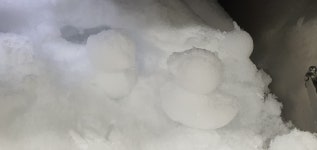 오버워치 인벤 : 내 오리 좀 봐줘 - 오버워치 인벤 자유게시판 내 오리 좀 봐줘