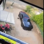 메이플스토리 인벤 : 혐, 잔인) 닭을 쏴죽인 이유.gif - 메이플스토리 인벤 자유게시판 (구) 혐, 잔인) 닭을 쏴죽인 이유.gif