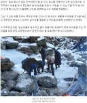 취수장 얼음직접 깬 여성공무원... - 오픈이슈갤러리 - 인벤 취수장 얼음직접 깬 여성공무원... - 오픈이슈갤러리