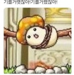 메이플스토리 인벤 : 응애 영웅 본캐 정해줘라 - 메이플스토리 인벤 자유게시판 (구) 응애 영웅 본캐 정해줘라