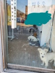 메이플스토리 인벤 : 우리 동네 옷가게 - 메이플스토리 인벤 자유게시판