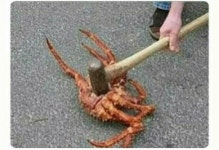 메이플스토리 인벤 : 지금 메이플 운영진 대처가 나쁘지 않다고 생각하... 자유게시판 (구) 지금 메이플 운영진 대처가 나쁘지 않다고 생각하는 게
