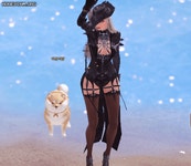 로스트아크 인벤 : 파도의 춤 너무 귀엽다 ㅠㅜ - 로스트아크 인벤 건슬링어 게시판