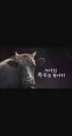로스트아크 인벤 : 배틀 아이템은 왜 아끼시는거에요??? - 로스트아크 인벤 자유 게시판