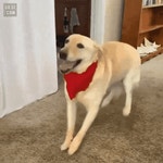 웹진 인벤 : 개신남.gif - 오픈이슈갤러리 개신남.gif