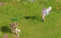 로스트아크 인벤 : 농장 영지 성장중... - 로스트아크 인벤 자유 게시판