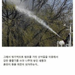 피파 온라인4 인벤 : 서울 한강에 있다는 섬의 정체 - 피파 온라인4 인벤 자유게시판
