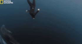 웹진 인벤 : 내셔널 지오그래픽이 촬영한 마라도 해녀들의 모습 - 오픈이슈갤러리 내셔널 지오그래픽이 촬영한 마라도 해녀들의 모습