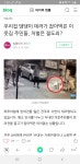 메이플스토리 인벤 : 이웃집 개 데려다가 잡아먹은 주민들 - 메이플스토리 인벤 자유게시판