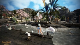 검은사막 인벤 : ㅋㅋㅋ오늘 가모스 끝나고 - 검은사막 인벤 자유게시판