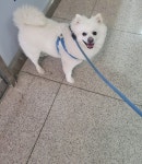 메이플스토리 인벤 : 얘는 몽이야37 - 메이플스토리 인벤 자유게시판