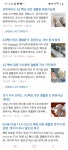 Az 맞은 경찰관 몸에 문제 생긴다는 기사 연이어 - 오픈이슈갤러리 - 인벤 Az 맞은 경찰관 몸에 문제 생긴다는 기사 연이어 - 오픈이슈갤러리