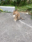 파이널판타지14 인벤 : 글리젠 자주 됐으면 좋겟당 - 파이널판타지14 인벤 자유게시판