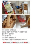웹진 인벤 : 애들이랑 같이 먹을 후라이드가 너무 매워요 - 오픈이슈갤러리 애들이랑 같이 먹을 후라이드가 너무 매워요