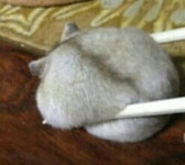 파이널판타지14 인벤 : 이번 주 일지연재는 아무래도 무리일듯 합니다 - 파이널판타지14 인벤 자유게시판