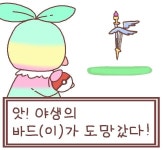 로스트아크 인벤 : 야생의 바드가 도망쳤다 - 로스트아크 인벤 바드 게시판 야생의 바드가 도망쳤다