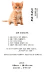 시즌 >길냥이쉼터< 친목클랜 - 디아블로3 인벤 길드/클랜 홍보 - 디아블로3 인벤 시즌 >길냥이쉼터< 친목클랜 - 디아블로3 인벤 길드/클랜 홍보