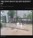 메이플스토리 인벤 : 야만의 시대로 돌아간 아파트 - 메이플스토리 인벤 자유게시판