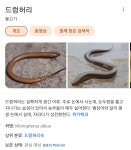 자라다교육부천지점 | 메이플스토리 인벤 : 자라다가... 왜... 하는데...? - 메이플스토리 인벤 자유게시판