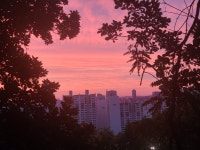 메이플스토리 인벤 : 아침하늘 가져왔으요 - 메이플스토리 인벤 자유게시판