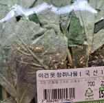 메이플스토리 인벤 : 이건 못 참지 - 메이플스토리 인벤 자유게시판 (구) 이건 못 참지