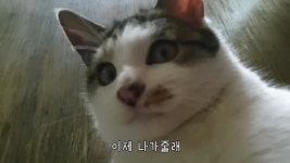 메이플스토리 인벤 : 님들아 들어와보셈 - 메이플스토리 인벤 자유게시판 (구) 님들아 들어와보셈
