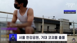 메이플스토리 인벤 : 자~ 오늘 나올 신규 보스는 은평구 코괴물 이란다 - 메이플스토리 인벤 자유게시판 (구) 자~ 오늘 나올 신규 보스는 은평구... 