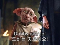 메이플스토리 인벤 : 도비는 이제 자유랍니다! - 메이플스토리 인벤 자유게시판 (구) 도비는 이제 자유랍니다!