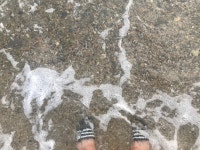 메이플스토리 인벤 : 망양정해수욕장 - 메이플스토리 인벤 자유게시판